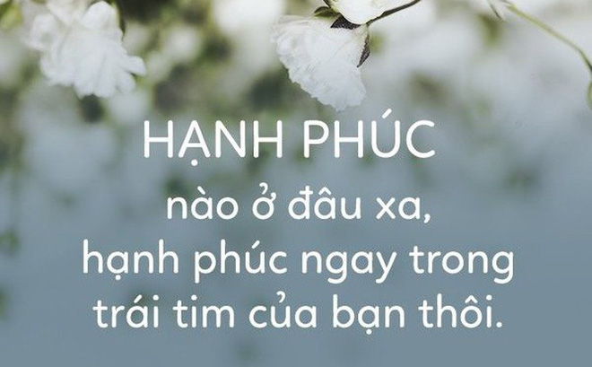 soi cầu Tây Ninh