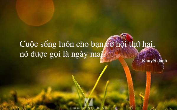 soi cầu Bình Thuận