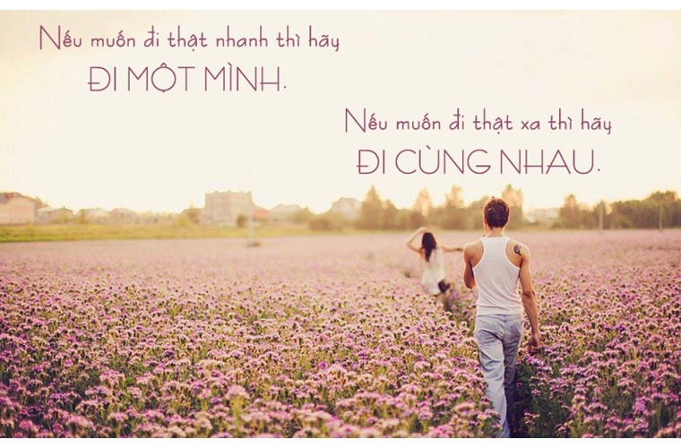 soi cầu Tây Ninh