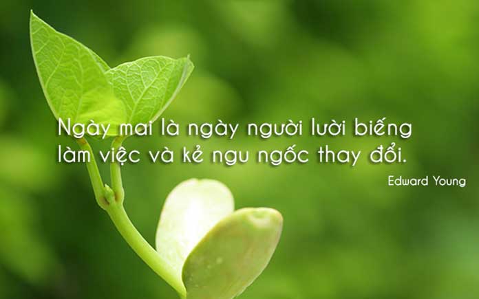 soi cầu Bình Phước