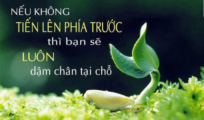 soi cầu Đắc Nông