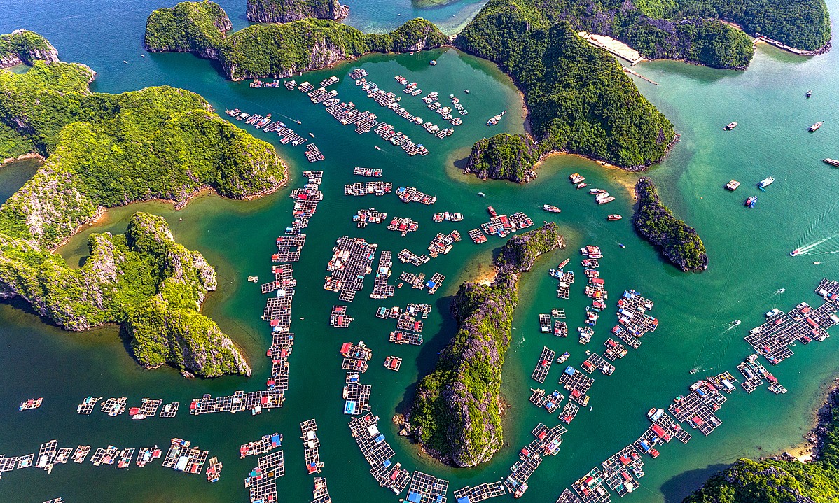 soi cầu Gia Lai