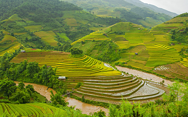 soi cầu Sóc Trăng