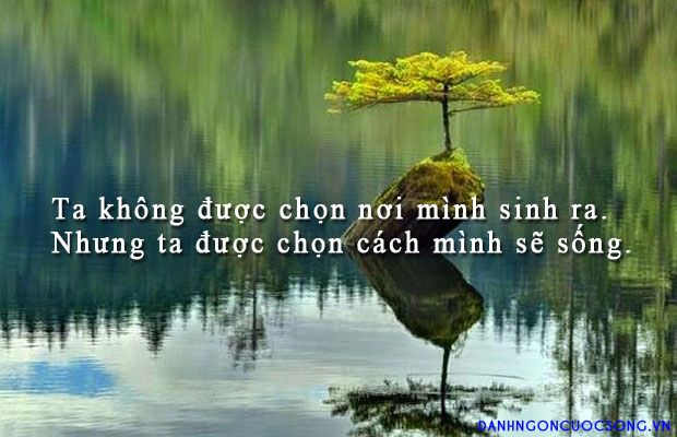 soi cầu Vũng Tàu