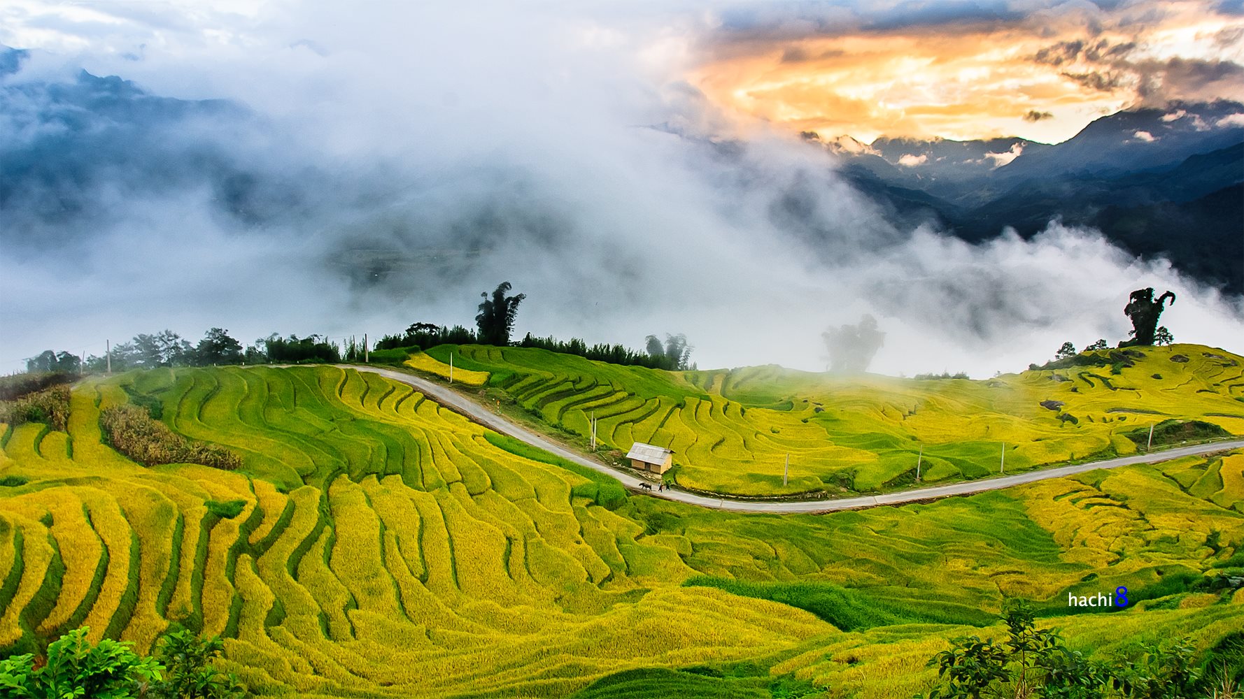 soi cầu Kiên Giang