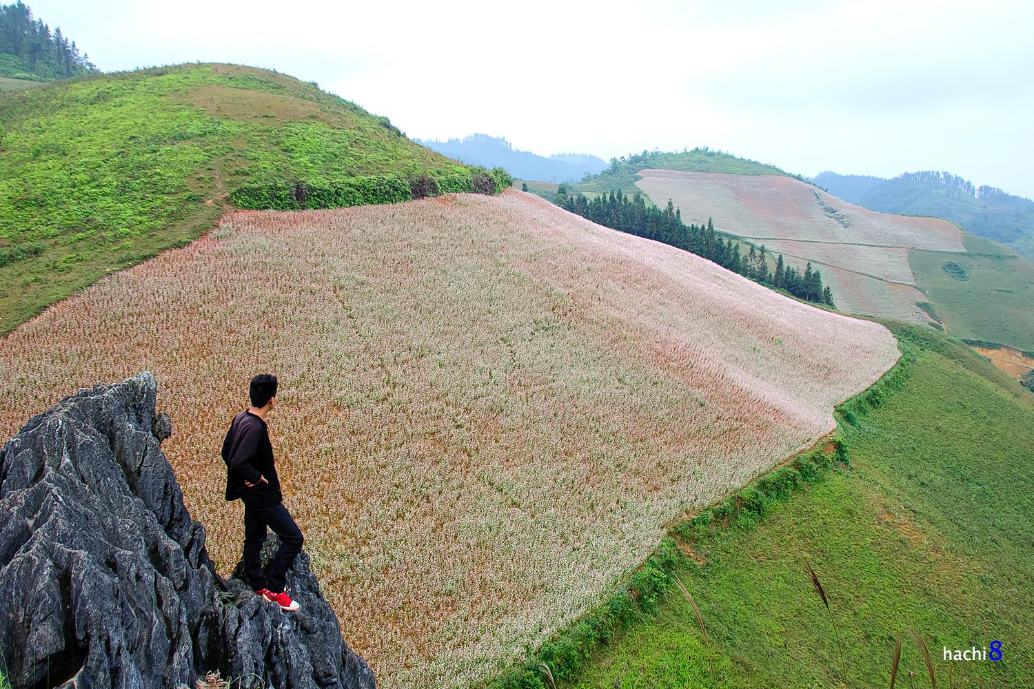 soi cầu Tây Ninh