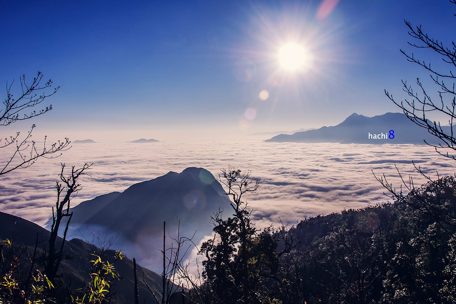 soi cầu Khánh Hòa