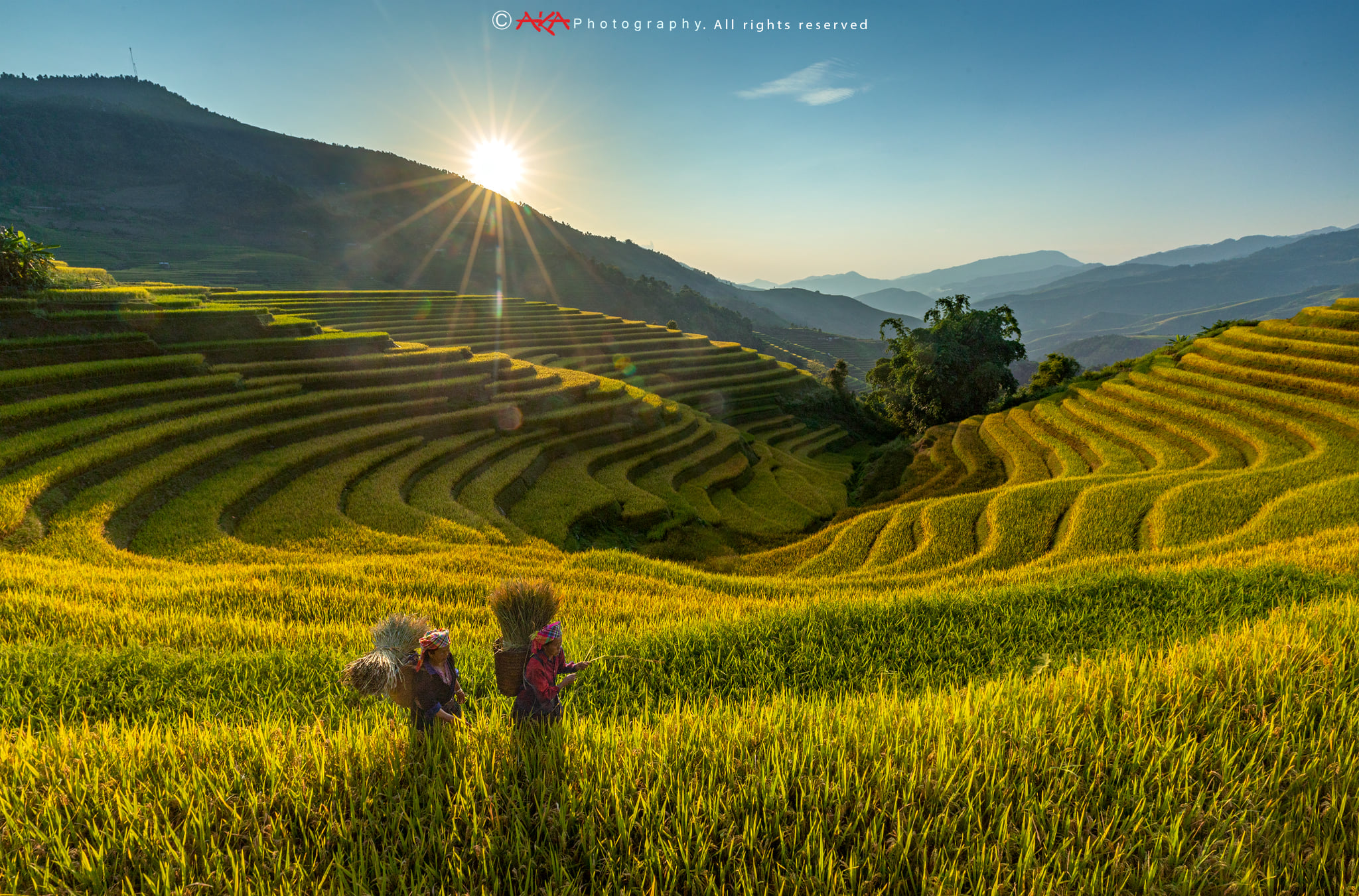 soi cầu An Giang