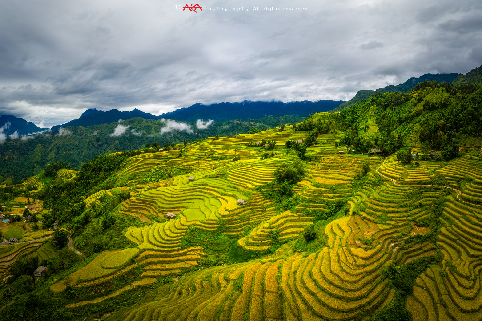 soi cầu Tiền Giang