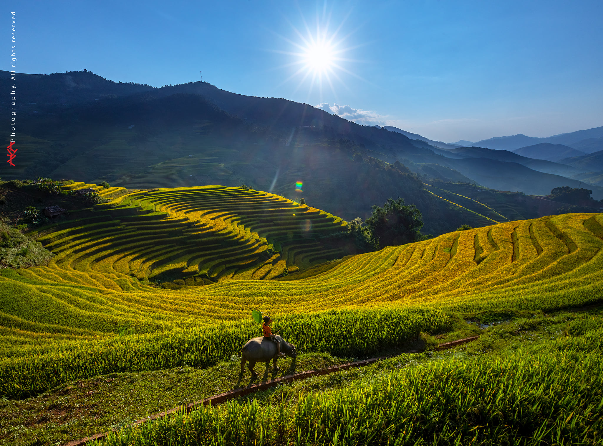 soi cầu Vũng Tàu