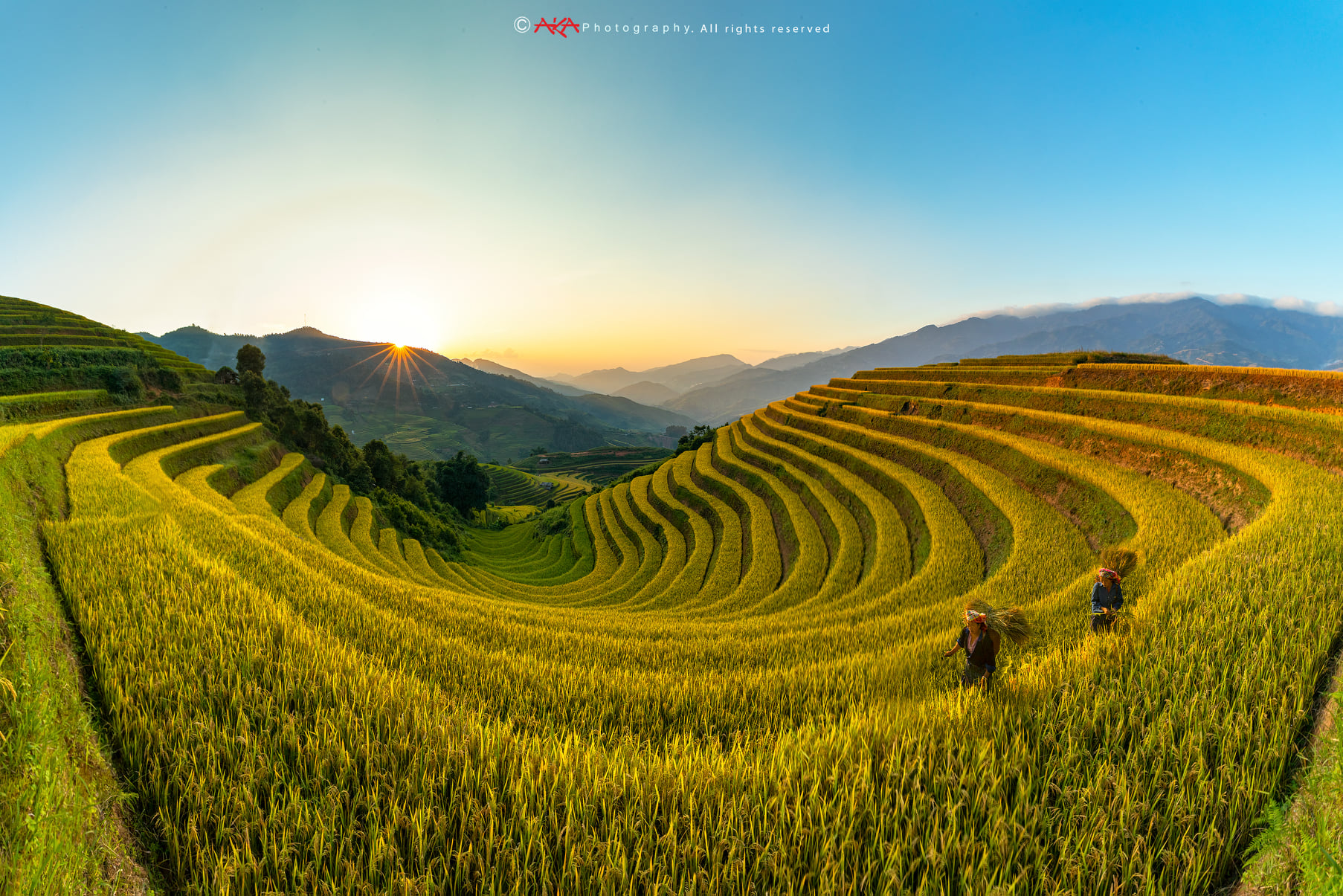 soi cầu Phú Yên