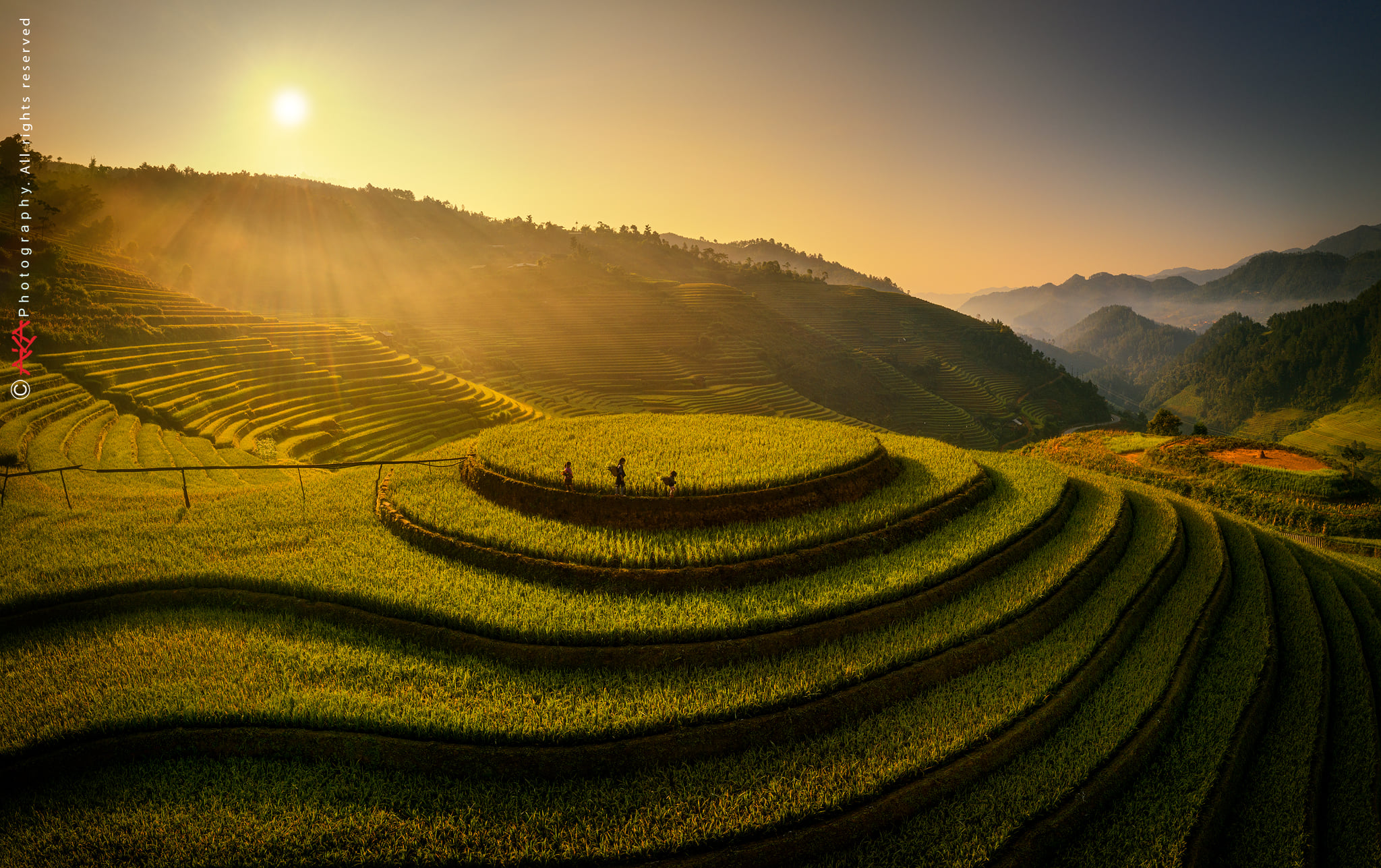 soi cầu Hậu Giang