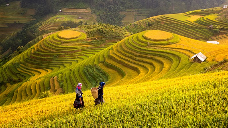 soi cầu Vũng Tàu