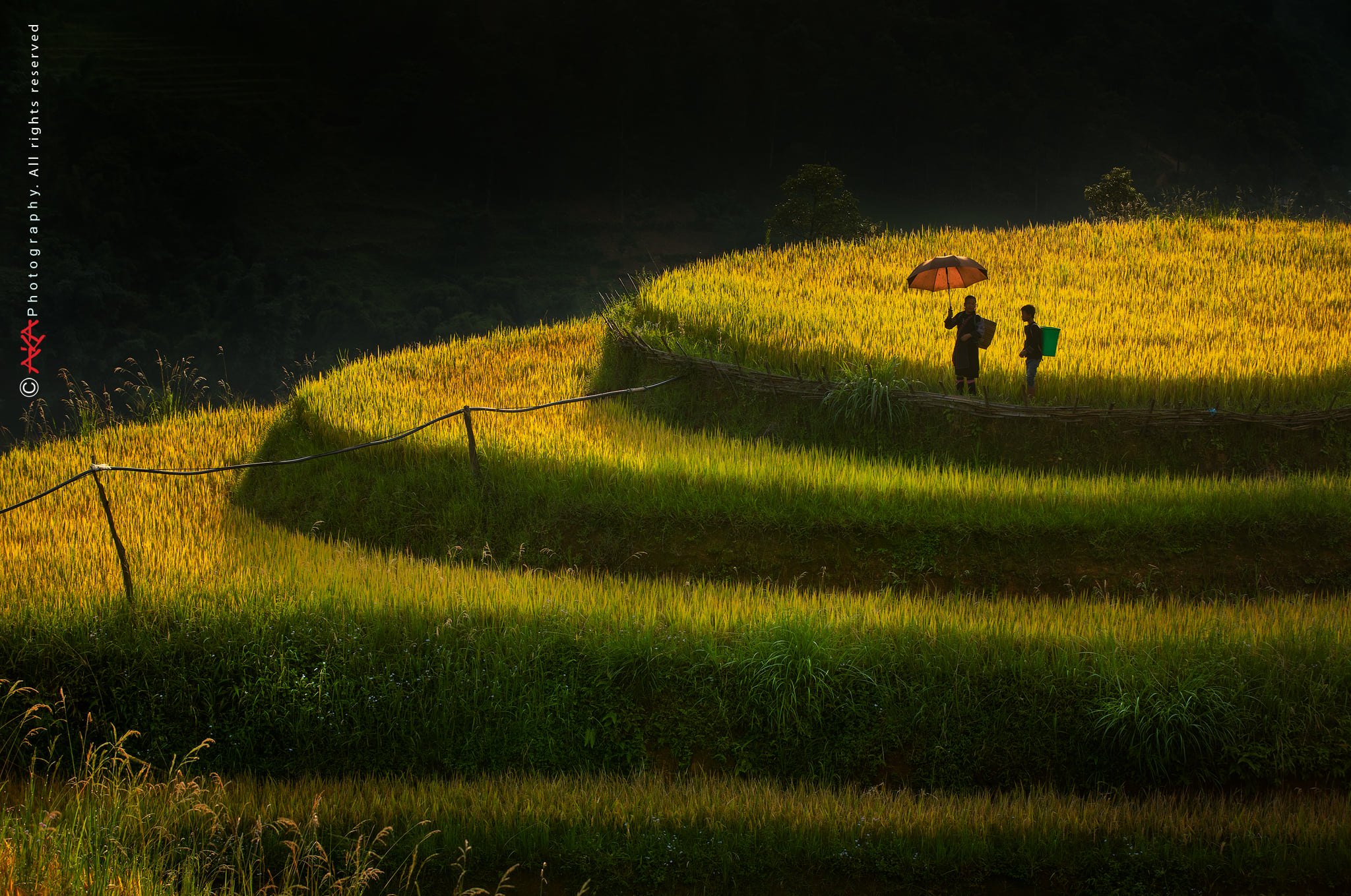 soi cầu An Giang