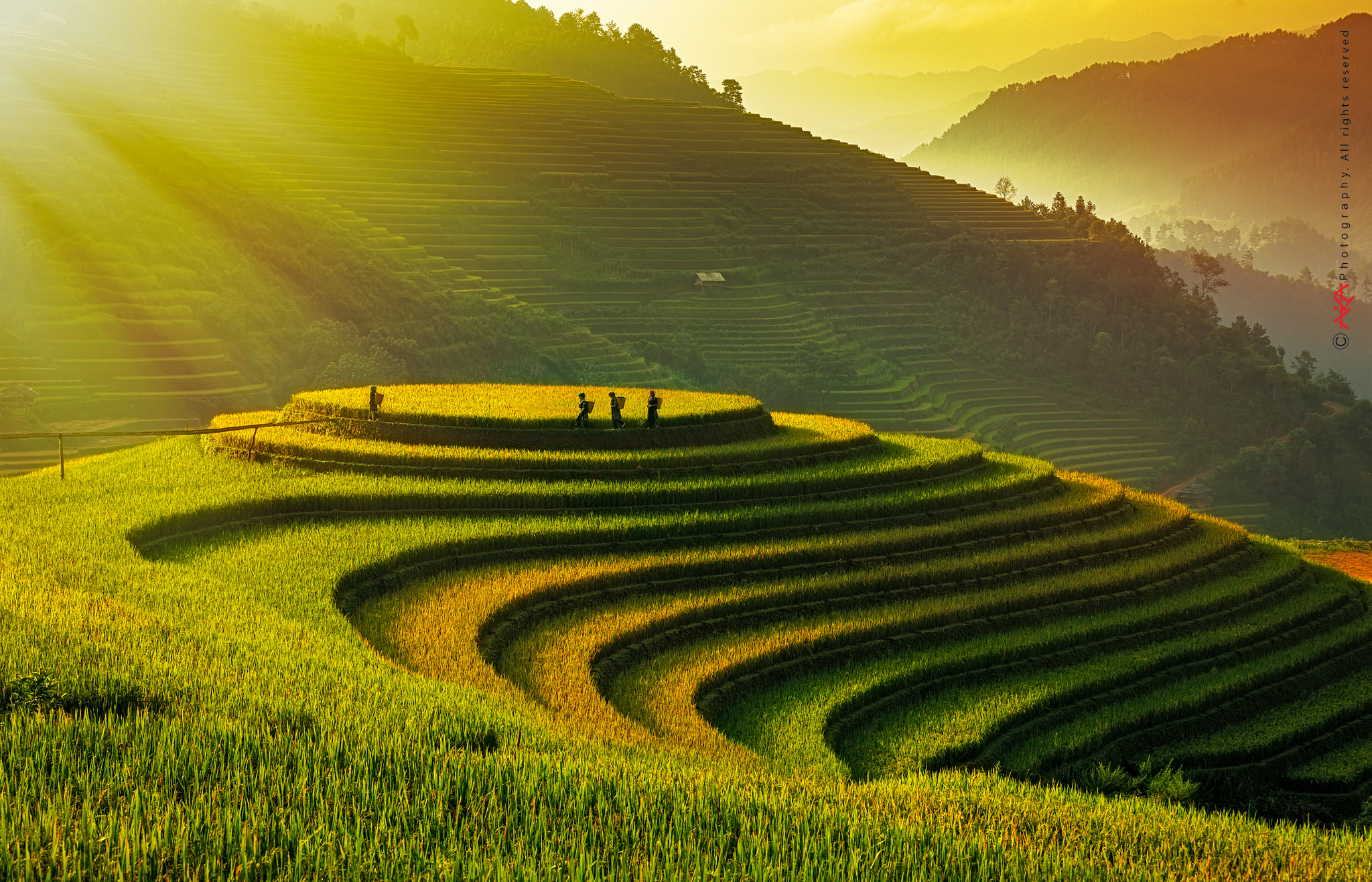 soi cầu Vĩnh Long