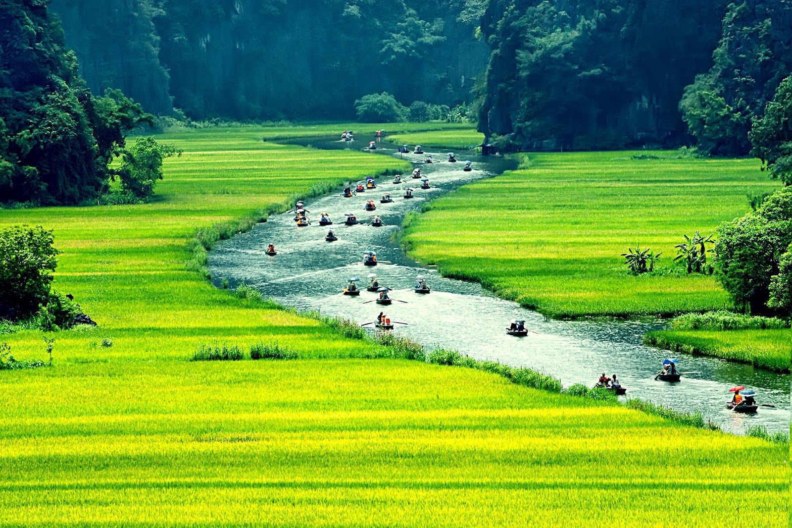 soi cầu Kiên Giang