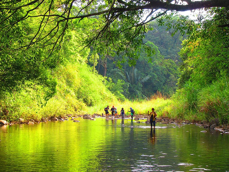 <span>Thống kê nâng cao:</span> thong ke dau duoi xsmn xổ số Bình Phước 22-06-2019